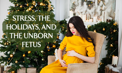 stress the holidays and the unborn fetus