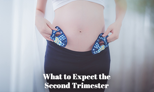 What to Expect the Second Trimester